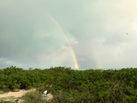 87D45233-FFEE-4B44-9CE6-4C6AD06C8DFA