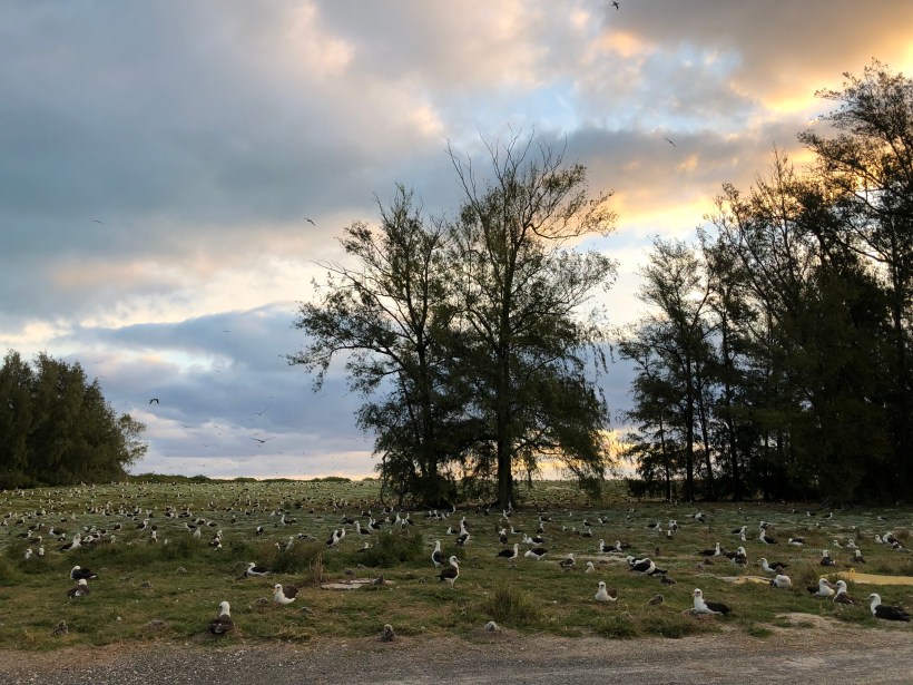 B346B38B-C6C4-4F99-B458-1C10F6962E09