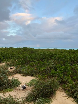 FF5FF2F4-66D9-4D0D-8E03-074EC5881E56