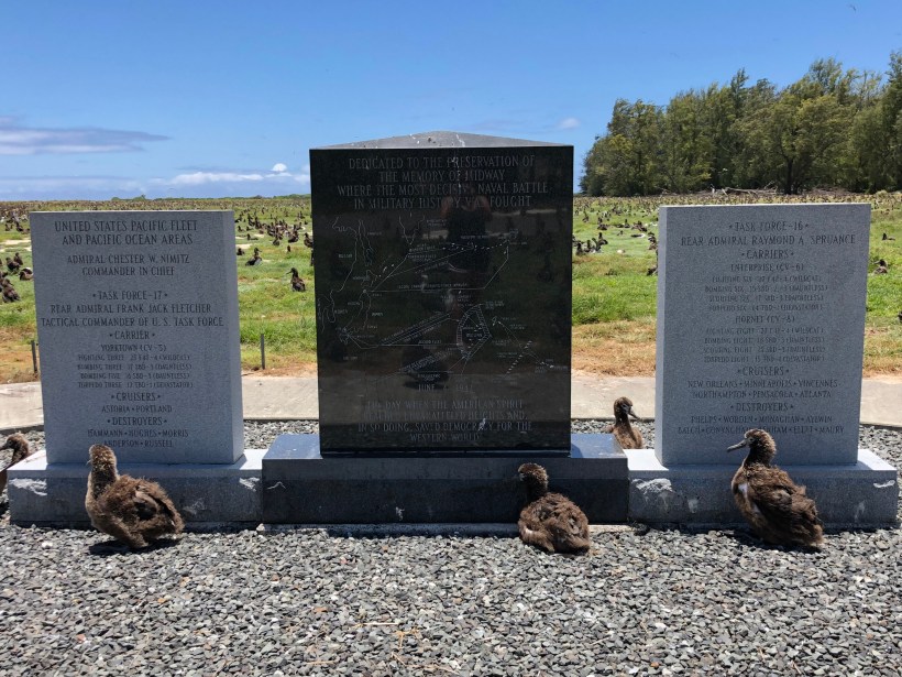 B2DFF8BA-5E54-440A-8995-98EBA598F0A1